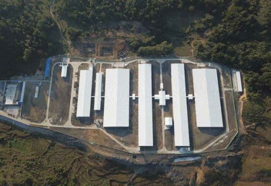 Latest company case about 500 Sows farm in The Philippines