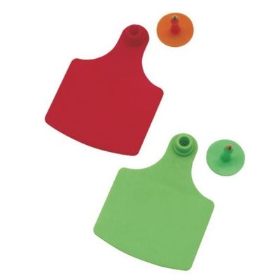 Orange Yellow Green Livestock ID Tags Cattle Management Tags 75*60mm