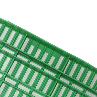 Green Plastic Slatted Flooring For Sheep 60*150cm 60*100cm Injection molding