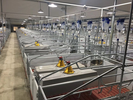 Pig Farm Sow Farrowing Crate Cage For Deliver Piglets