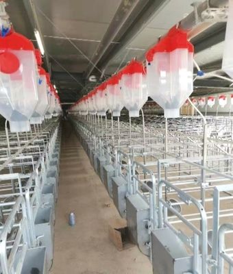 Hot Galvanized Steel Individual Pen For Pregnant Sow