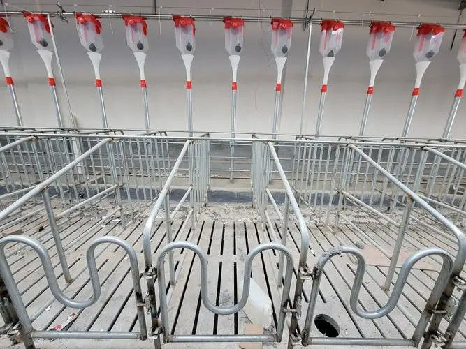 Anti Corrosion Pig Farm Project Equipment Gestation Crate Purchase